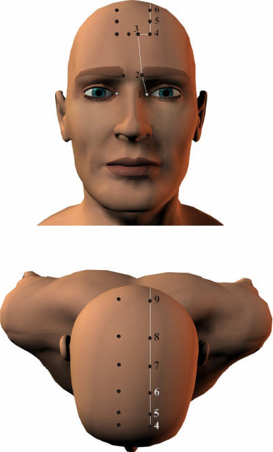 Bladder Meridian 1