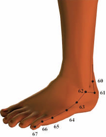 Bladder Meridian 3