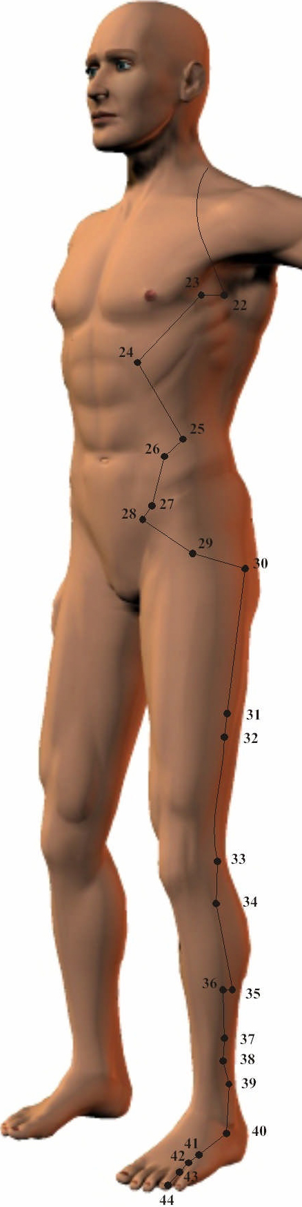 Gallbladder Meridian 2