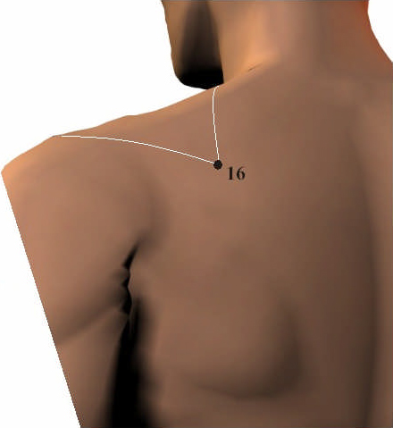 Large Intestine Meridian 2