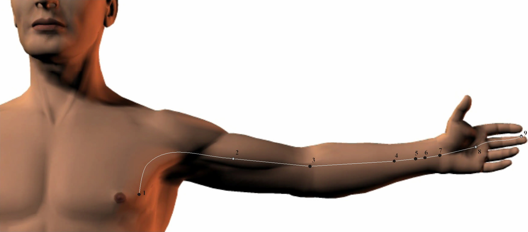 Pericardium Meridian