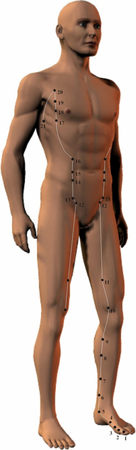 Spleen Meridian